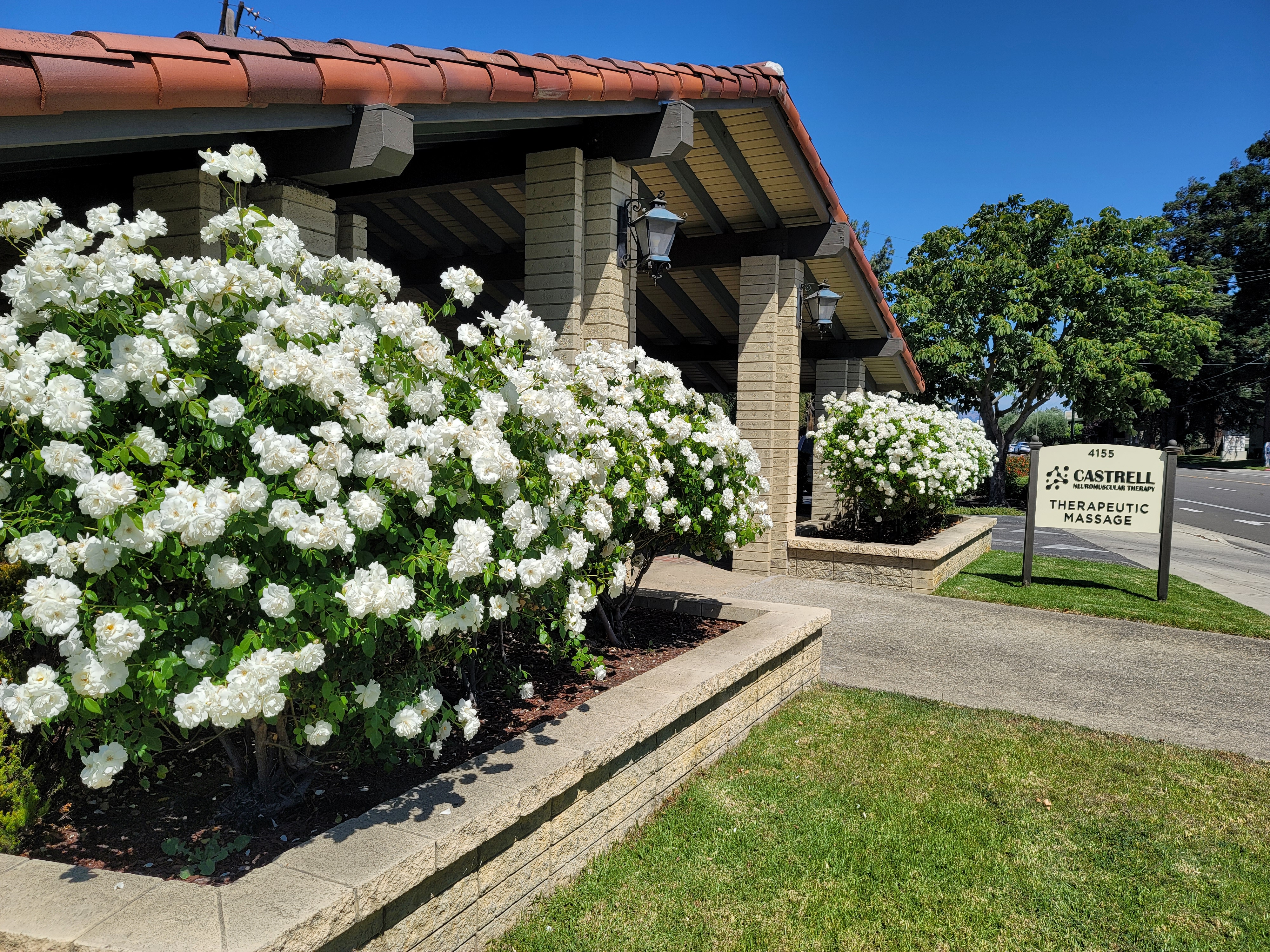 Professional Therapeutic Massage Clinic
